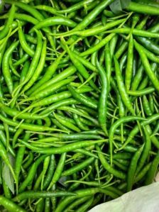 Fresh Green Chilli